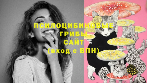 синтетический гашиш Богданович
