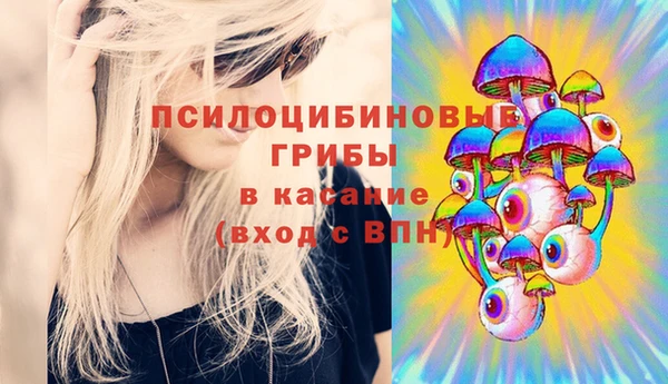 MDMA Белокуриха