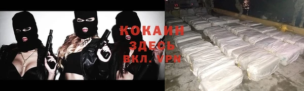 трава Слюдянка