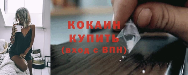 сатива Беломорск