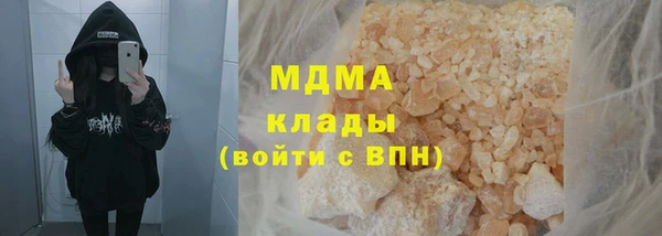 сатива Беломорск