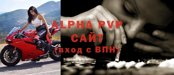 сатива Беломорск