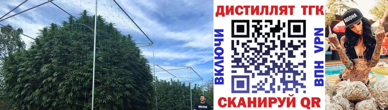 Дистиллят ТГК Wax Рязань