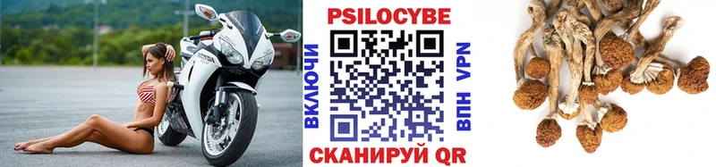 Галлюциногенные грибы Psilocybine cubensis  Рязань 